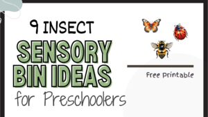 Creepy Crawly Fun:  10 Bug Sensory Bins Your Kids Will Love🐞