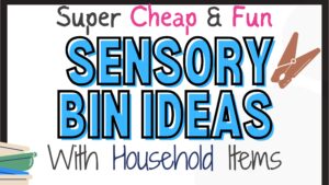 Sensory Bin Ideas with Household Items Header