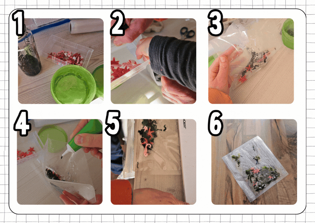 How to Create an Algae Sensory Bag Step By Step