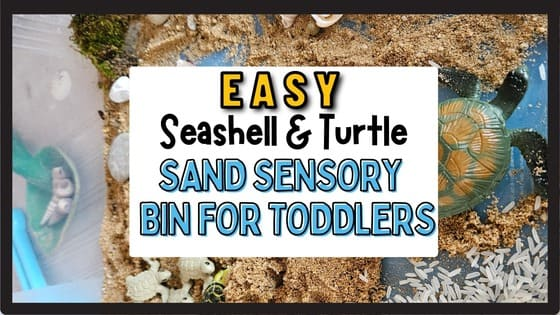 Exciting Seashell Sensory Bin – Keep Toddlers Crazy Busy